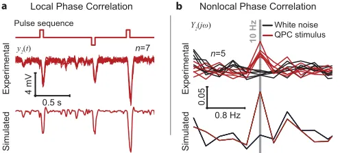 Fig 5. Experimental validation. a, The second-order components of the photoreceptor responses extractedwas the pulse sequence superimposed by Gaussian white noise.directly from in vivo recordings (seven repetitions shown) are as predicted by our model