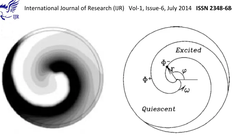 Fig 3: Sketch of the spiral geometry and coordinates. The spiral is described by the two interfaces: a wave front into excited and quiescent regions