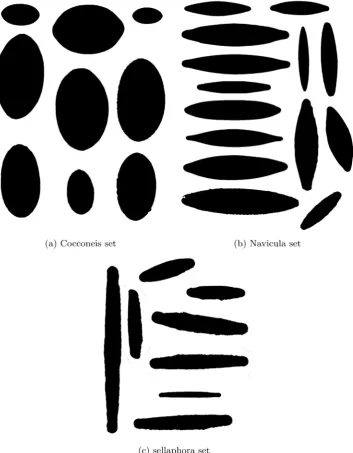 Figure 4. Example of diatoms used for automatic identification from the River Ebro (Spain) in-ventory