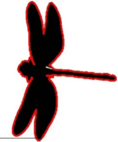 Figure 5. Extraction of the X,Y coordinates from the image of a dragonfly. 