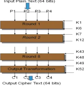 Fig. 1: Architecture of IDEA 