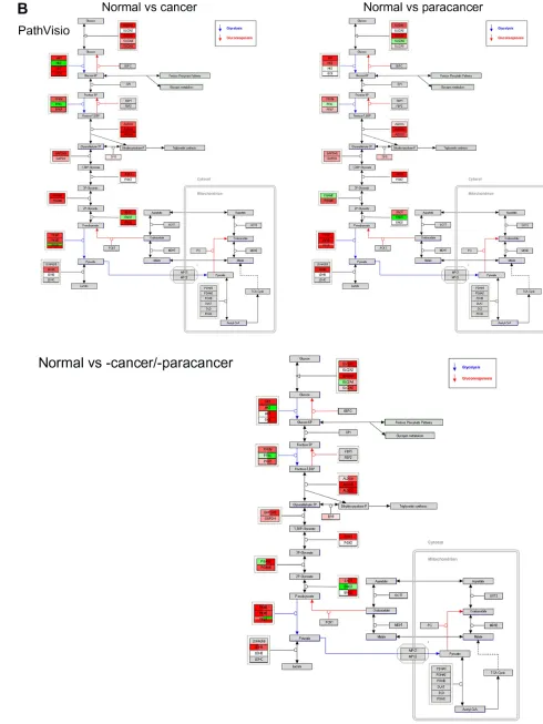 Figure 1 (Continued)