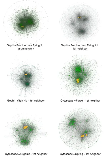 Figure 2 Network visualization using Gephi and Cytoscape using different layout algorithms.Notes: The entire human and influenza A interactomes are shown, as well as the first neighbors of the influenza A proteins
