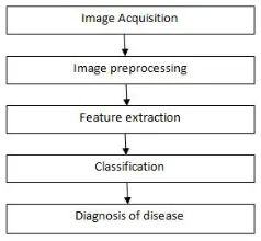 Figure 6.Steps involved in the proposed method of plant disease detection