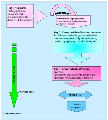 Figure 1. Process of implementation of an educational programme to facilitate the development of critical thinking in student nurses