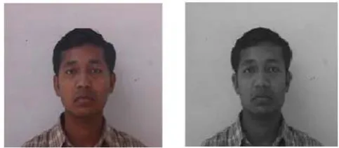 Fig. 2 Original image and Grayscale image 