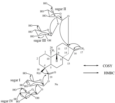 Figure 2. Key COSY and HMBC correlations of 1 