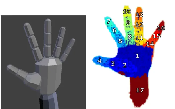 Figure 4.5: Hand Labels: Indexes assigned to each region of the model.