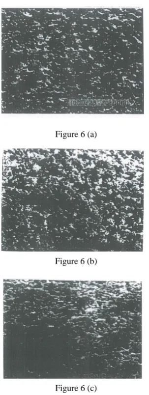 Figure 6 (a) 
