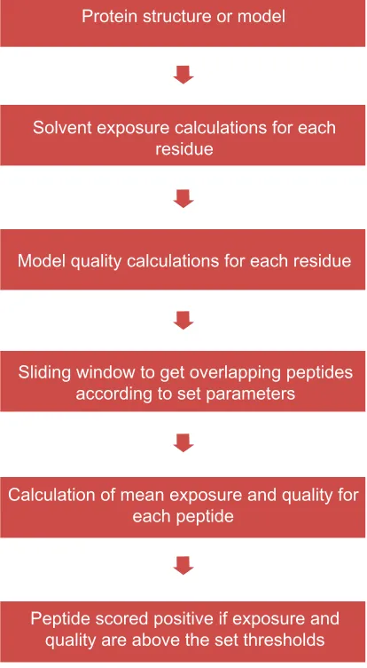 Figure 1 Flowchart of the B-Pred method.Notes: starting with a protein structure or model, the solvent exposure and the local structural quality are calculated for each protein residue