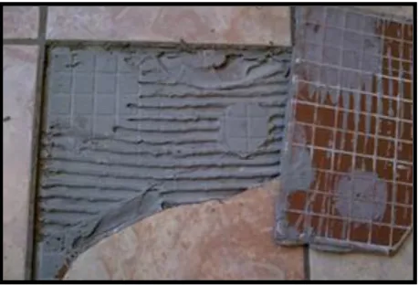 Figure 1.3 Ceramic tiles with cement failures. 