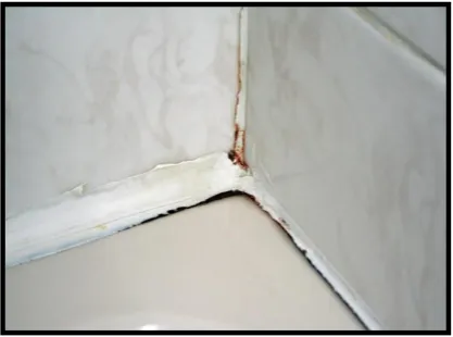 Figure 1.4: Failures of silicon glue 