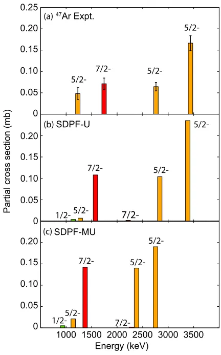 FIG. 4: (Color online) One-neutron pickup partial cross sec-tions to excited ﬁnal states: (a) as measured in the exper-iment, and as calculated, following Section II, with the (b)SDPF-U, and (c) SDPF-MU SM spectroscopic factors.