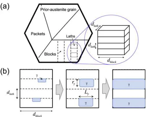 Fig. 1.UNCORRECTED PROOF (a) Schematic representation of the hierarchical structure of lath martensite withlaths of cuboidal morphology