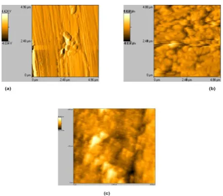 Table 7. AFM data for carbon steel surface immersed in inhibited and uninhibited environments 