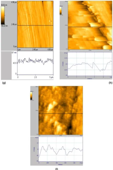 Figure 5. The cross sectional profile which are corresponding to as shown broken lines in AFM images of the surface of  g) polished carbon steel (Control); h) carbon steel immersed in well water (blank); i) carbon steel immersed in well water containing Glycine 250 ppm + Zn2+ 50 ppm  