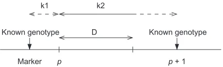Figure 1. The parameters used for the polynomial approximation between markers p and p + 1.