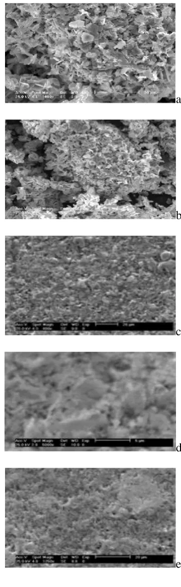 Figure 3.a-e. SE-micrographs for pure 2212-BPSCCO prepared by Freeze Drying Technique (FDT) and variant added-ZrO2 samples