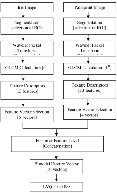 Fig. 6: flow of bimodal pattern recognition 