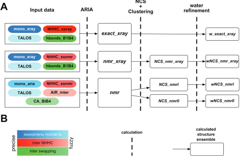 Figure 2 A) Scheme of the ARIA calculations. The colored boxes on the left describe the input data, the blue denoting intra-monomer restraints, the red denoting inter-monomer restraints coming from the interpretation of the ssNMR NHHC spectrum, the green d