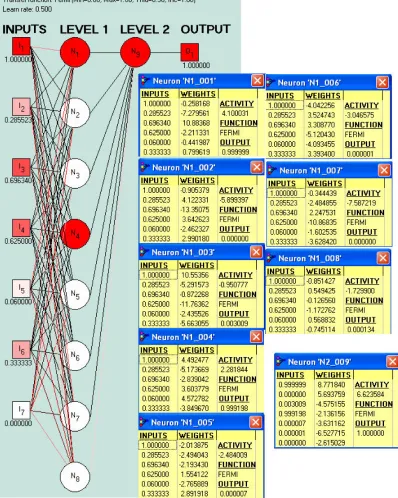 Figure 2 Network 8 and the weights of its different neurons.