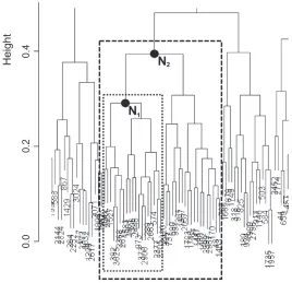 Figure 5 small window on the hierarchical clustering of the leukemia dataset. increasing the number of relevant predictors, requires the selection of a new node (for instance N2), at a higher level of dissimilarity in the y-scale.