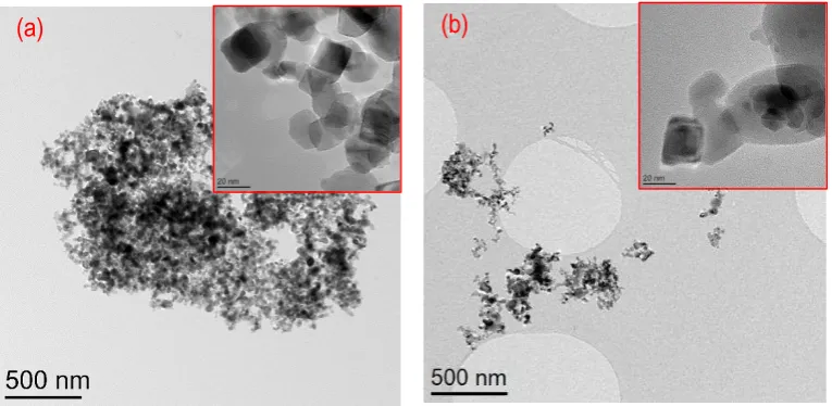 Figure 5 (a) and (b) shows the SEM images of TiO2 and Ti(SO4)O samples, respectively, at 100K 