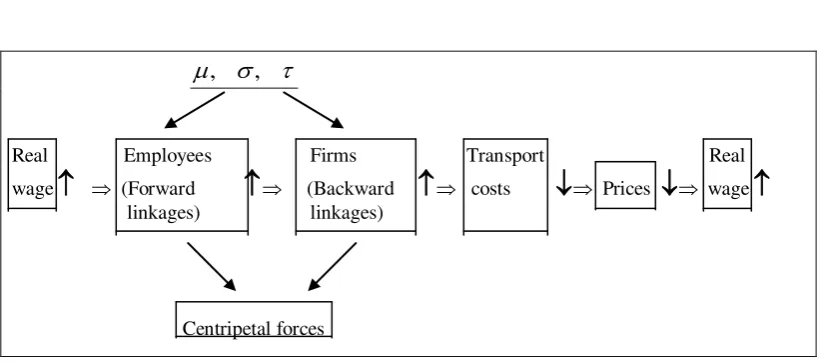 Figure 1: A mechanism that describes the process of polarization 