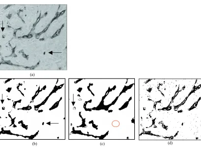 Figure 8 (a) Original image. (b) Binarized image by using the new algorithm. (c) Binarized image by using graph