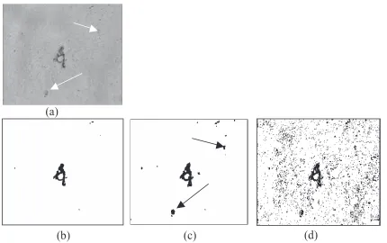 Figure 1a Original image. (b) Binarized image by using the new algorithm. (c) Binarized image according to the algorithm from the Algorithm steps section (a), (d) Binarized image via Otsu’s method.