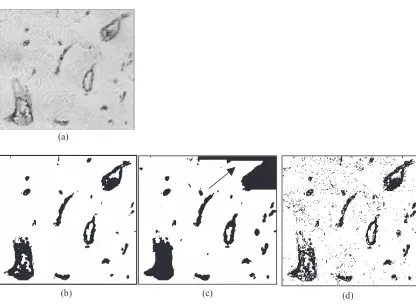 Figure 3 (a) Original image. (b) Binarized image by using the new algorithm. (c) Binarized image by using graph (see Algorithm steps)