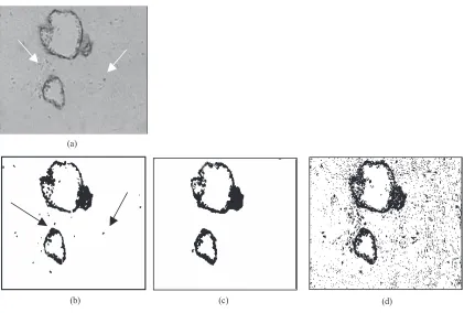 Figure 5 (a) Original image. (b) Binarized image by using the new algorithm. (c) Binarized image by using graph