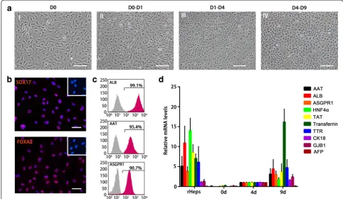 Fig. 2 Screening for induction protocol to generate iHeps from ADSCs.hepatocyte nuclear factor alpha-4,bar: 100alpha-1-antitrypsin,flow cytometry analysis marked by ALB, AAT, and ASGPR1.induction