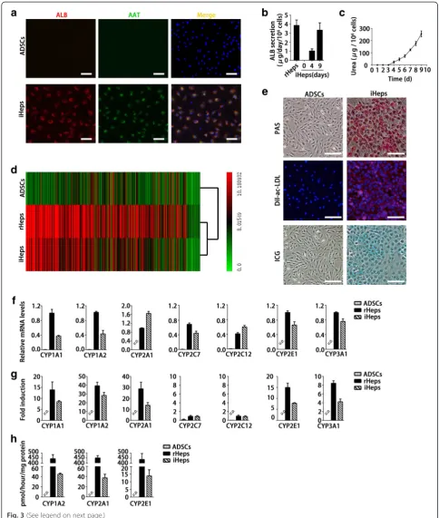 Fig. 3 (See legend on next page.)