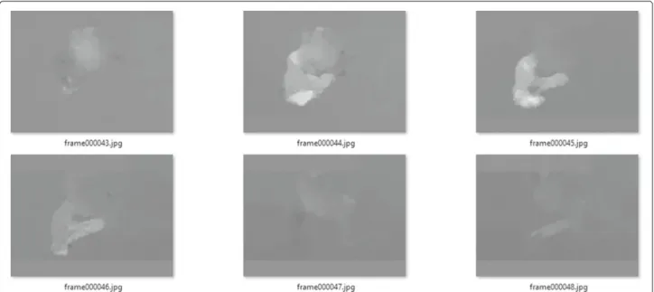 Fig. 1 Part of an optical flow of a video in UCF-101. It is a set of grayscale images and pays no attention to the RGB information