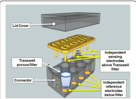 Fig. 1 Schematic of the ECIS Transwell array device developed andused for this study. Commercially available Matrigel-coated Transwellfilters fit into the ECIS Transwell array device, which has individualreference electrodes embedded in the bottom chamber withindependent sensing electrodes placed above the filters