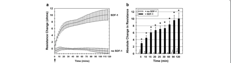 Fig. 4 Bone marrow mononuclear cell invasive function can be measured by ECIS.addition to test lower chambers