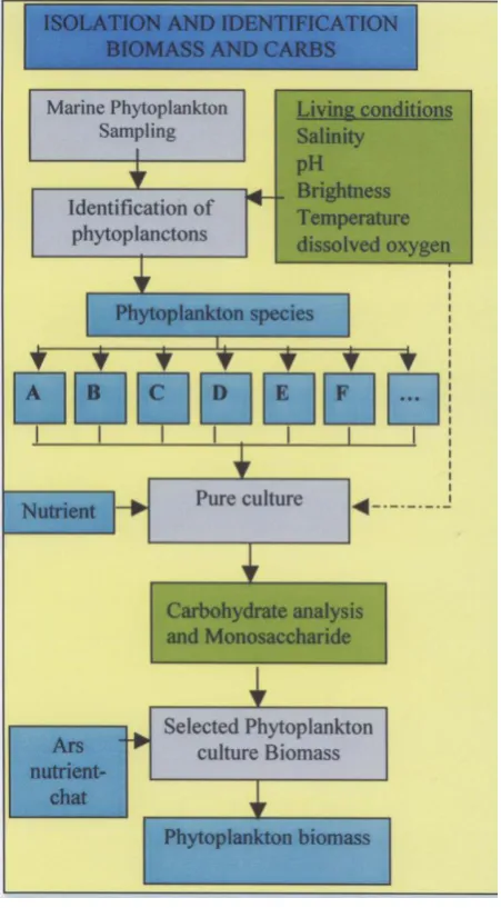 Figure 2. Research method 
