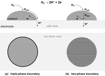 Figure 1.8   Comparison of triple-phase and two-phase boundary pathways for a metal catalyst in contact with a proton-conducting electrolyte