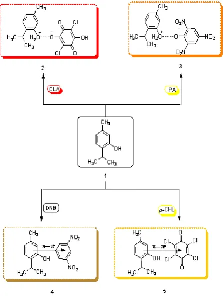 Figure 4. Infrared spectra of Thy CT complexes. 