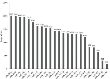 Table shows the miRNAs and corresponding target genes that are part of the network represented in Figure 2