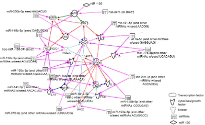 Figure 2. Functional network analysis of differentially expressed miRNA targets in CP