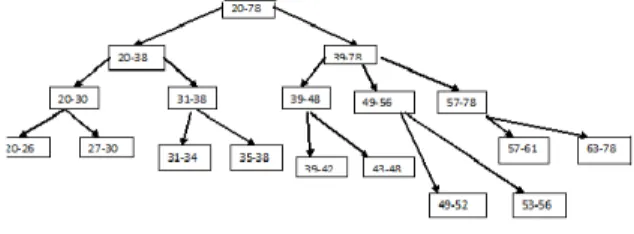 Fig. 2: Value generalization Hierarchy for Bank dataset. 