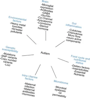 Figure 1. Represents core elements that tend to influence the onset of Autism. 