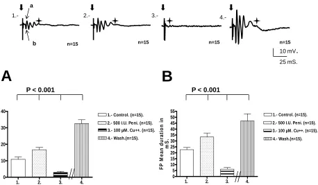Figure 1. Top: The recordings show the mean FP voltage responses obtained from pyramidal CA1 neurons in rat hippocam- pal slices (n = 15) using penicillin G as an epileptic agent