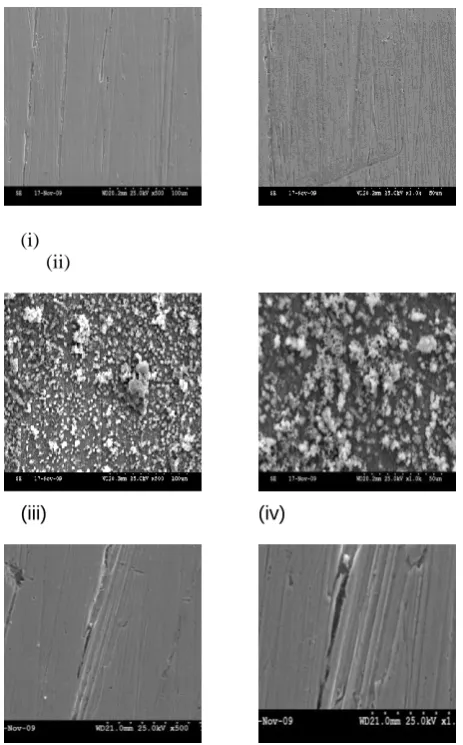 Figure 5. SEM micrographs: Carbon steel (control), magnification – x500 (i), x1000 (ii); Carbon steel immersed in well water, magnification –x500 (iii), x1000 (iv);  Carbon steel immersed in well water containing TSC (50 ppm )+ Zn2+ (25 ppm), magnification