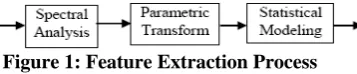 Figure 1: Feature Extraction Process 