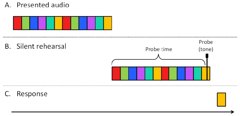 Figure 4. Representation of a single trial in the rehearsal-probe task in Experiment 2