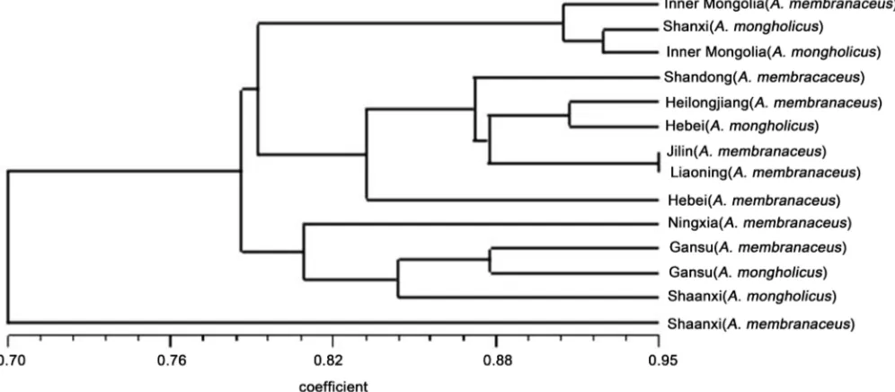 Figure 1. Dendrogram of Gs among the radix astragali from different habitats. 