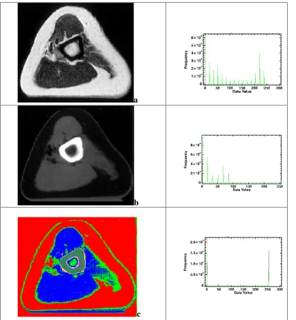 Table (1) show the statistical properties of the original images. 